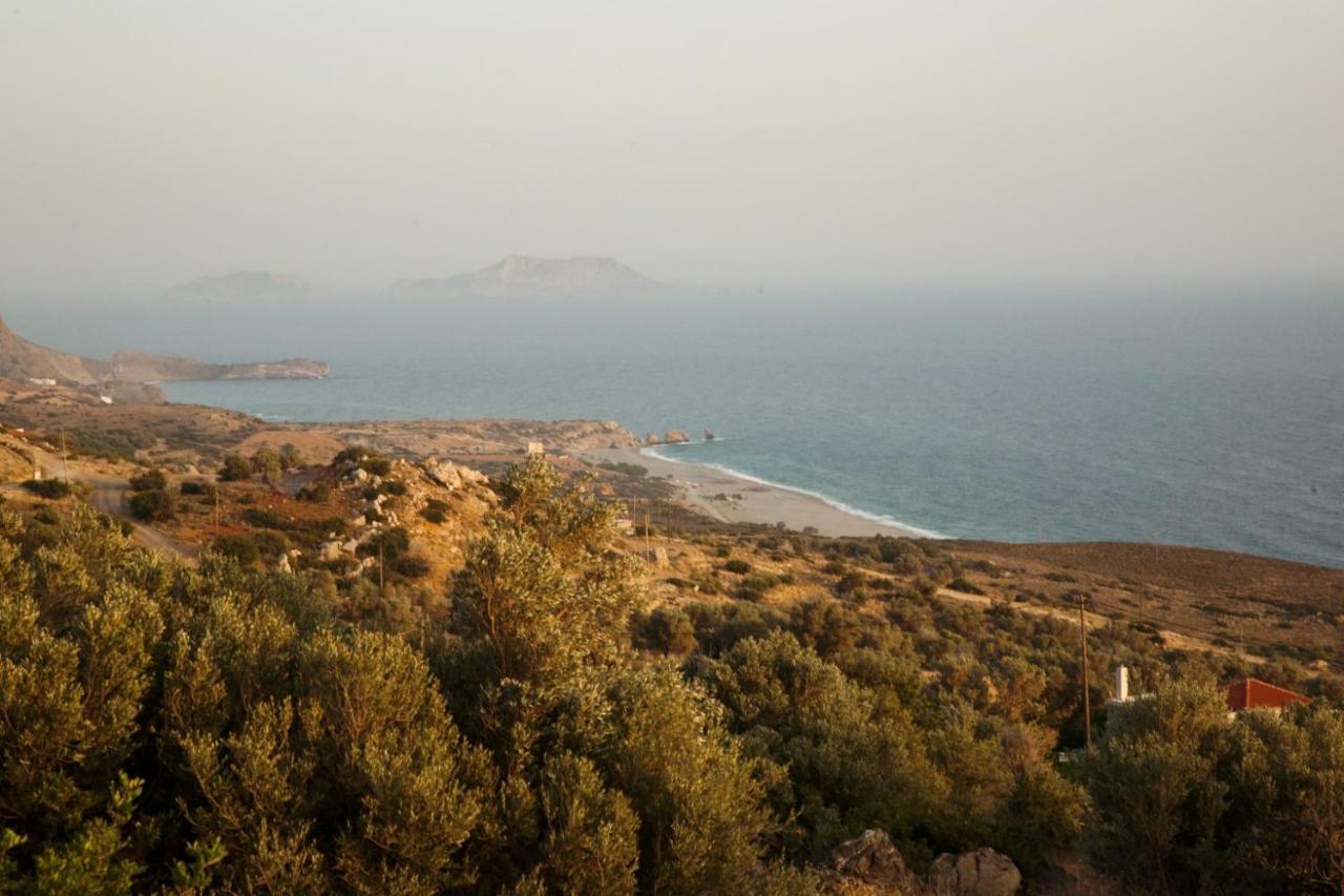 Agia Paraskevi  Alexandros Villa المظهر الخارجي الصورة